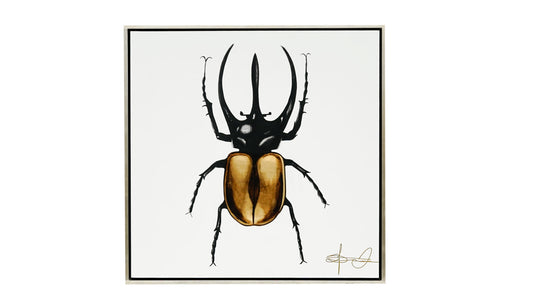 Cuadro Black Beetle A 120*120cm